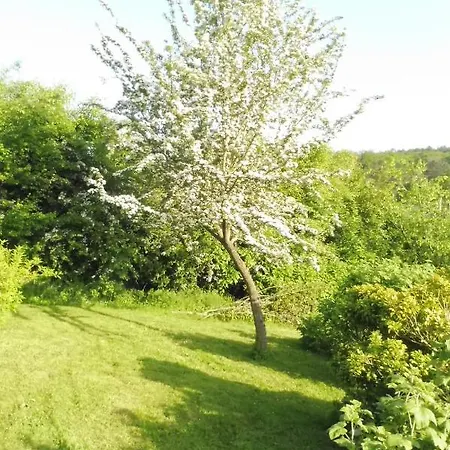 La Lustinoise Lustin